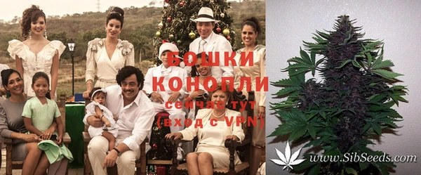 дурь Алексеевка