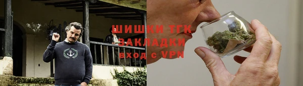 стаф Алзамай