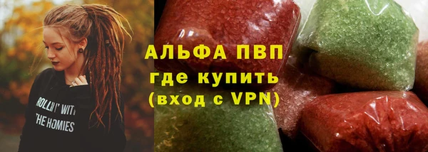 стаф Алзамай