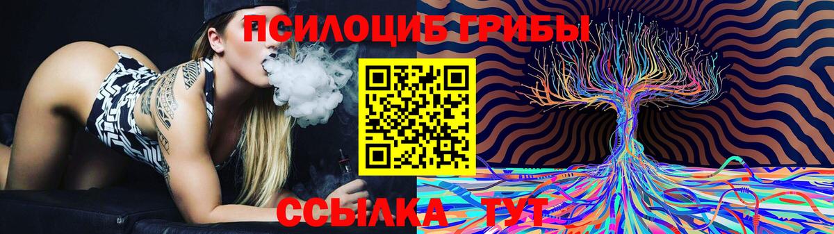 Полевской  где купить   Вход с VPN  Псилоцибиновые грибы Psilocybine cubensis 